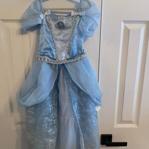 Disney Cinderella Dress Costume